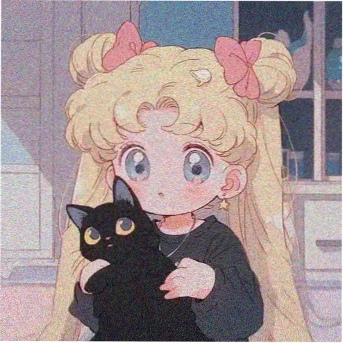 读者夜航的猫的头像
